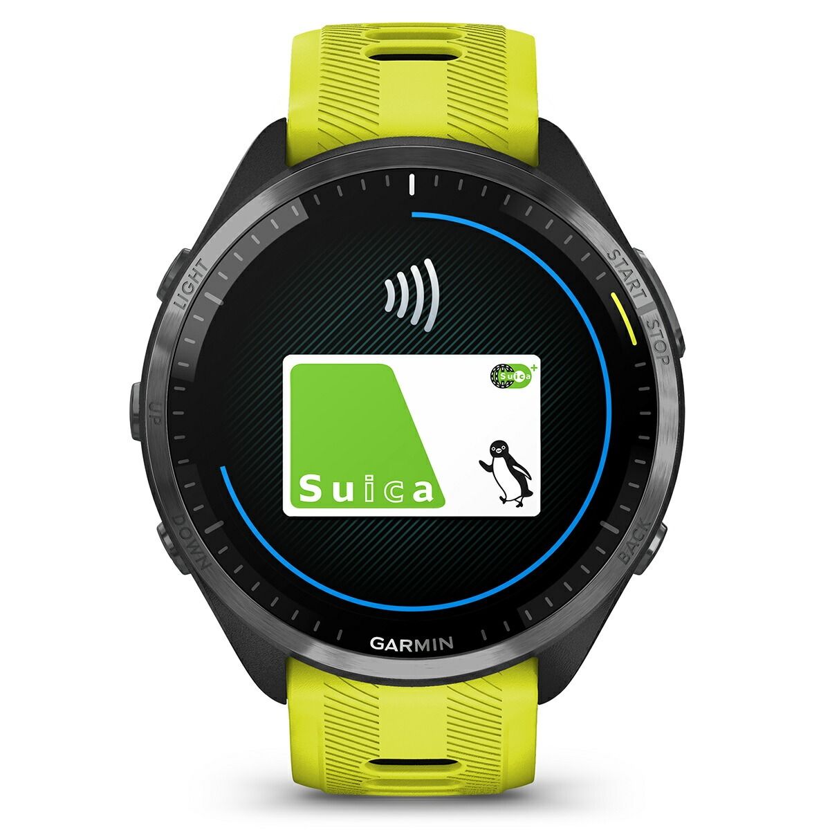 ガーミン GARMIN 010-02809-62 ｜ NEEL